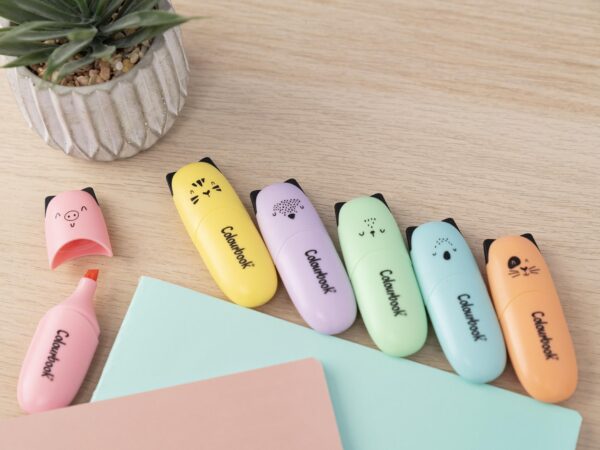 Taschetta 6 mini evidenziatori – Wild & Cute COLOURBOOK