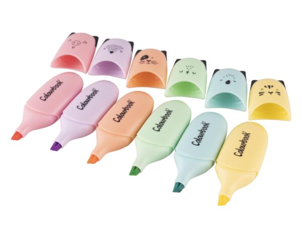 Taschetta 6 mini evidenziatori – Wild & Cute COLOURBOOK